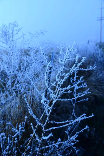 DSC_1029 (Large).JPG